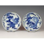 A pair porcelain plates