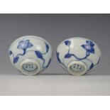 A pair porcelain bowls