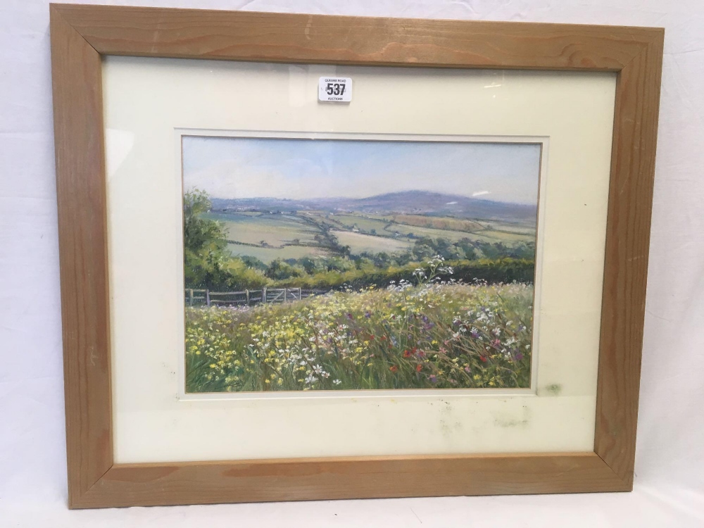 ORIGINAL WATERCOLOUR AND PASTEL PAINTING OF A WILD FLOWER MEADOW WITH EXTENSIVE LANDSCAPE BEYOND,