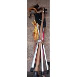 QTY OF WALKING STICKS & UMBRELLAS