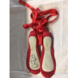 BAG WITH SIGNED DARCY BUSSEL BALLET SHOES