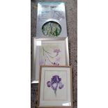 2 F/G PICTURES & A BOXED BLUE BELL GLASS TABLE,