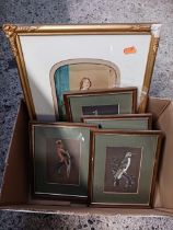 CARTON WITH 4 PICTURES OF BIRDS MADE WITH FEATHERS & A GILT FRAMED FIGURE WATERCOLOUR OF A WOMAN,