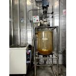 ZZKD EXS-50L GLASS REACTOR – 50L, AGITATION, MICRO EXPLOSION PROOF MOTOR, YEAR 2018