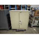 36"X42"X18" STORAGE CABINET