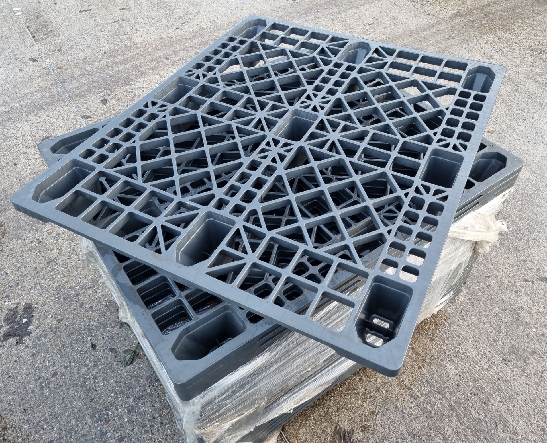 24x plastic pallets - UK standard size: 120x100cm - Image 4 of 4