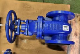 HUK DN100 GG25 PN16 NRS type gate valve