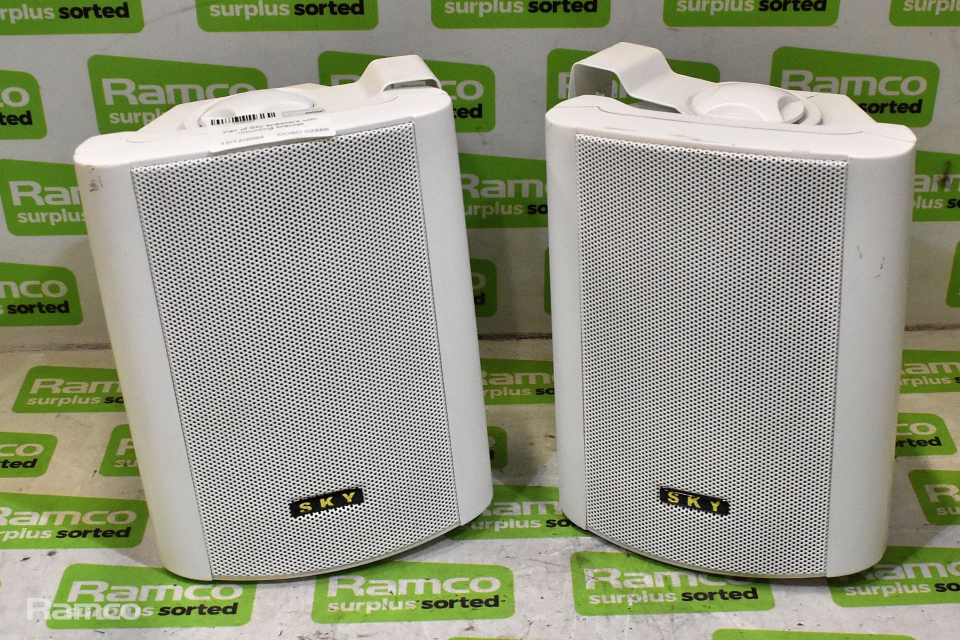 Pair of Sky speakers with mounting bracket