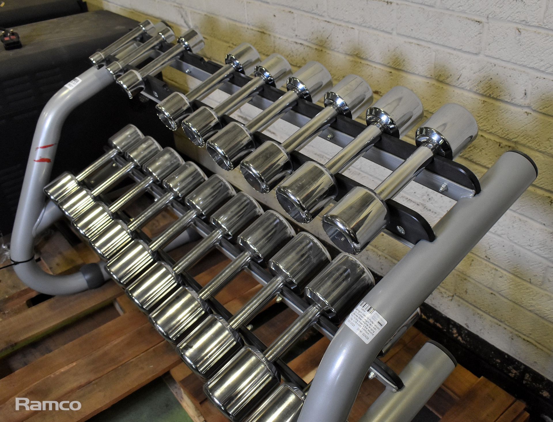 Technogym Class 4S Porta Manubri Cro, Dumbbell weight rack with Stainless Steel weights - Image 2 of 3
