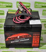 Interacter Incorporated LSX1206 microprocessor controlled automatic battery charger