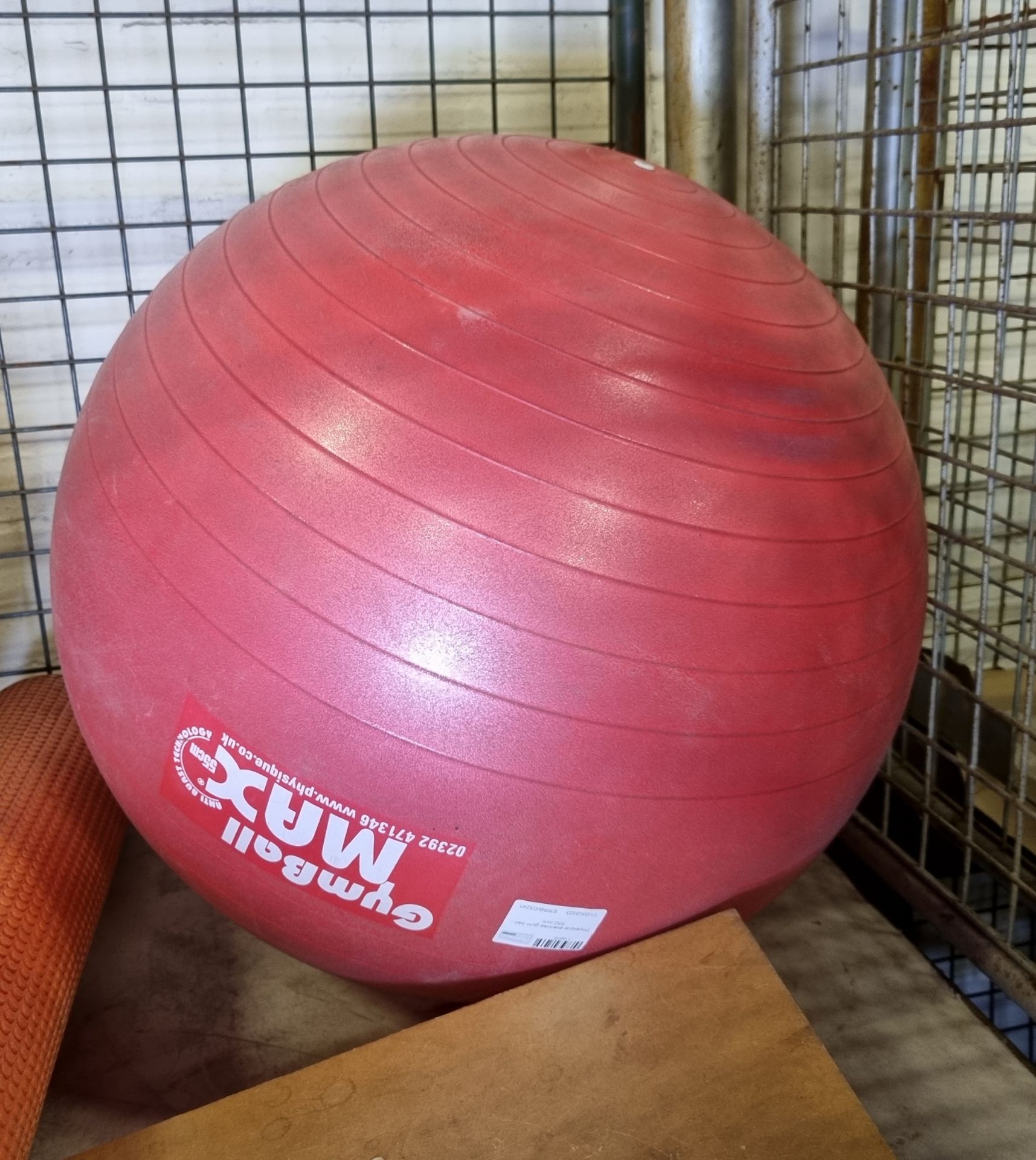 Various gym equipment (exercise balls, rocker boards and more) - details in the description - Image 2 of 5