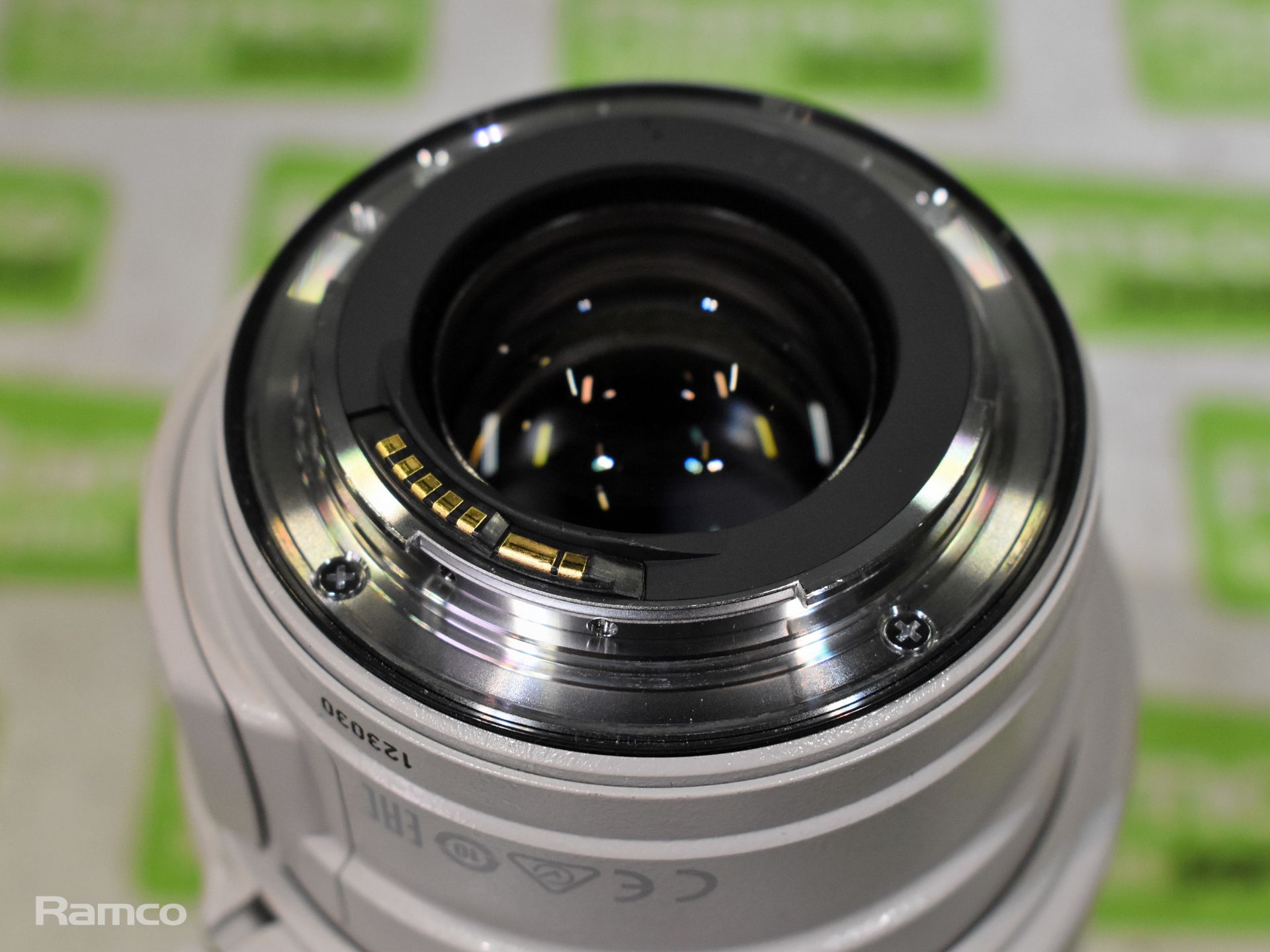 Canon zoom lens EF 28 - 300 mm 1 : 3.5 - 5.6 USM & Canon EW-83G with LZ1324 soft case - Bild 10 aus 16
