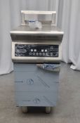 Rex Martins RESC-4B-08 free standing electric induction fryer