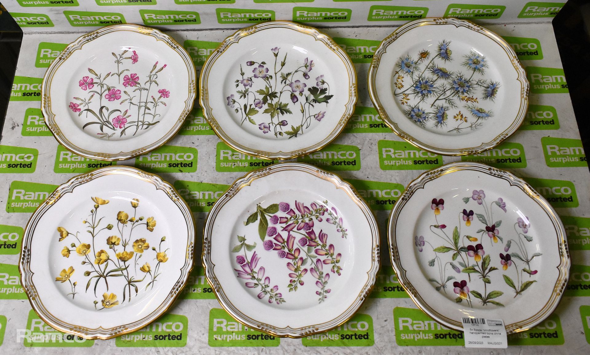 6x Spode - Wild Flowers - hand painted bone china plates