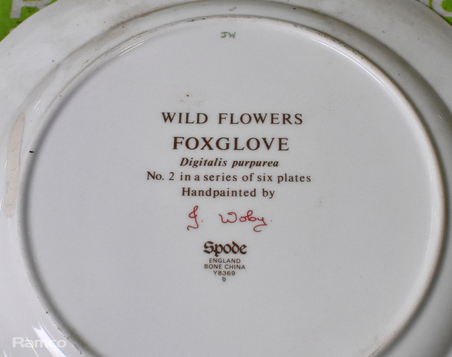6x Spode - Wild Flowers - hand painted bone china plates - Image 3 of 13