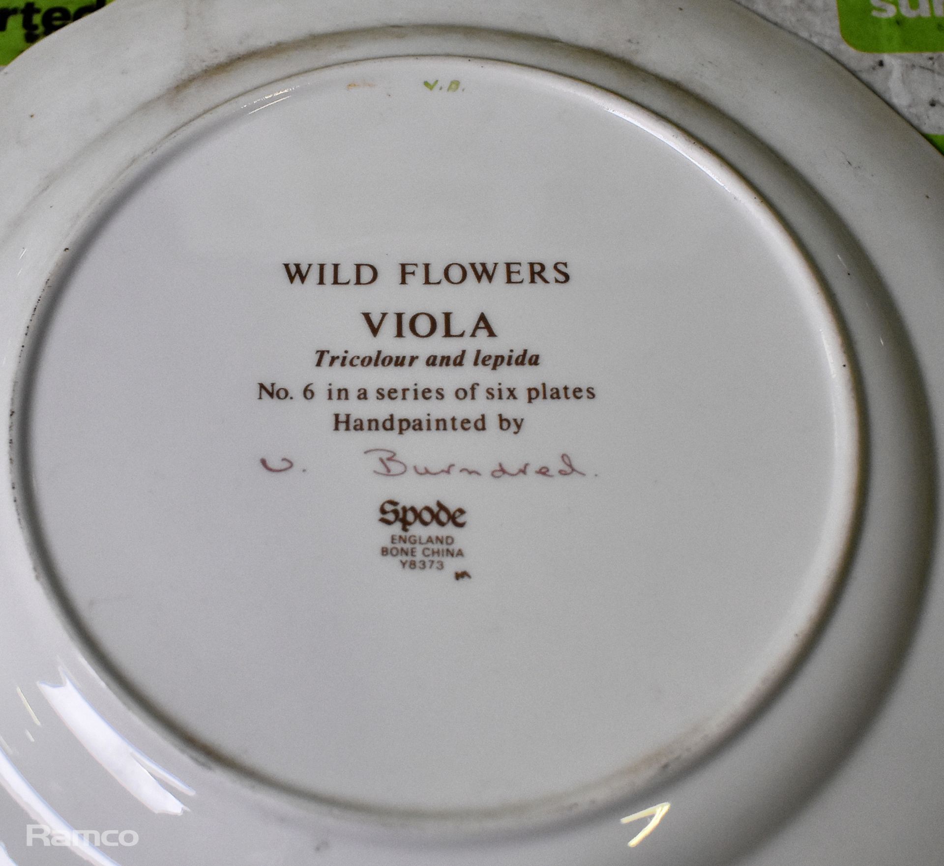 6x Spode - Wild Flowers - hand painted bone china plates - Image 13 of 13