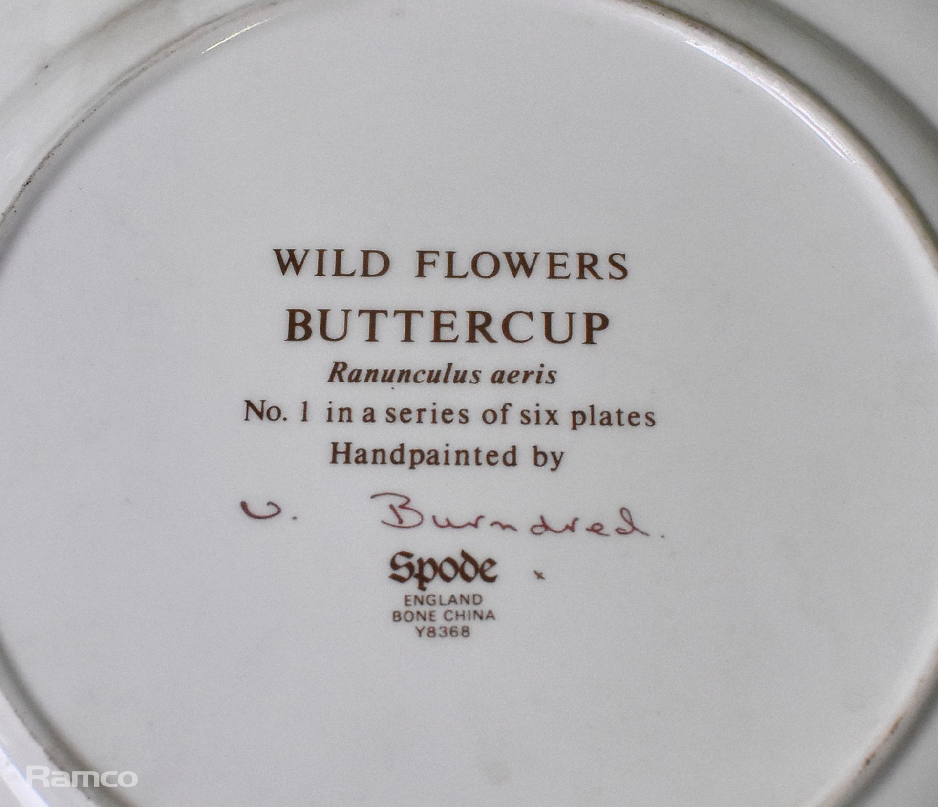 6x Spode - Wild Flowers - hand painted bone china plates - Image 5 of 13