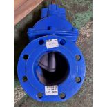 Blue 6" gate valve