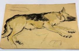 Geoffrey Squire, (British 1923-2012), Alsatian, charcoal sketch highlighted with wash, (27 x 37)