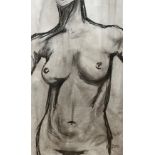 Mimi Doublet, Nude 3, charcoal on paper, signed bottom right, silvered glazed mounted frame (60 x