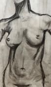 Mimi Doublet, Nude 3, charcoal on paper, signed bottom right, silvered glazed mounted frame (60 x