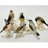A set of five German Karl Ens bird figures including a warbler, a European crested tit, a European