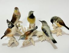 A set of five German Karl Ens bird figures including a warbler, a European crested tit, a European