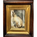 A H C, Bluepoint Siamese Cat, watercolour, signed bottom left with initials, mahogany and gilded