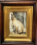 A H C, Bluepoint Siamese Cat, watercolour, signed bottom left with initials, mahogany and gilded