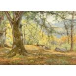 Robert W Bardill, Summer Forest Scene, watercolour, signed bottom left, gilt glazed frame, losses to