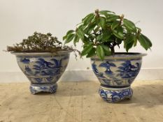 A large matched pairs of Chinese blue and white ceramic vases of squat flared form, naively