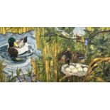 Carroll Sawyer, Mallard, Drake and Duck with Nest of Eggs, watercolour, signed bottom right and