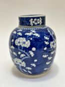 A large Chinese porcelain ginger jar and cover decorated with prunus and cherry blossom flower