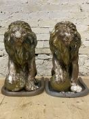 A pair of cast composition garden lions, each modeled in a seated position H65cm
