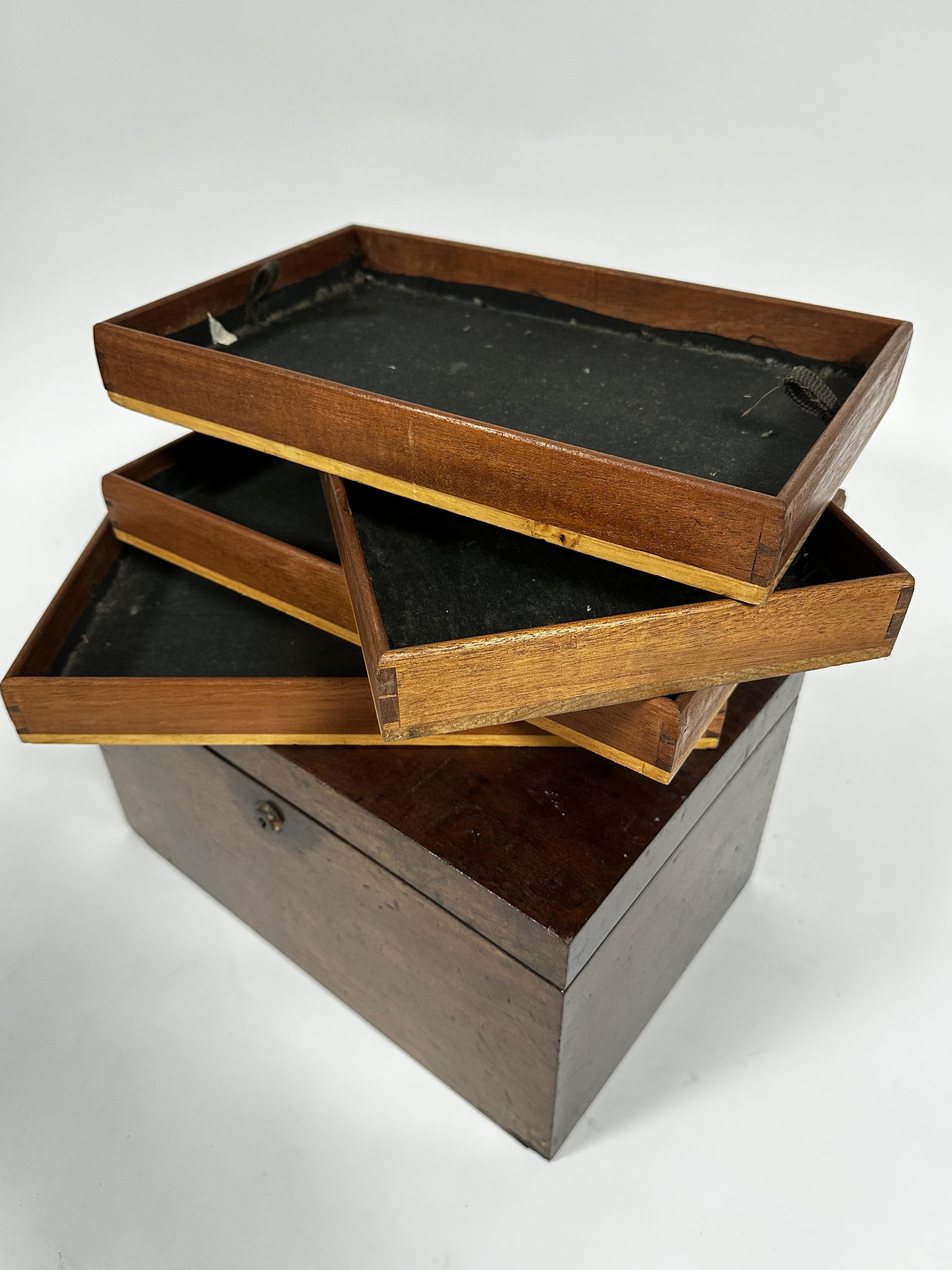 A 19thc mahogany collectors box the rectangular hinged top enclosing four removable trays, slight - Image 7 of 7