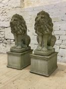 A pair of reconstituted stone garden lions, modeled in a seated position atop a rectangular base,
