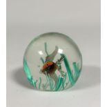 A 1960's glass paperweight, decorated with an angel fish and green rods as sea fronds, unsigned,