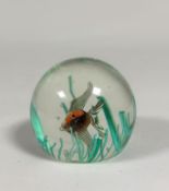 A 1960's glass paperweight, decorated with an angel fish and green rods as sea fronds, unsigned,