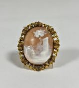 A 19th century shell cameo brooch, oval, carved as a woman in a landscape by a well, within a gilt-