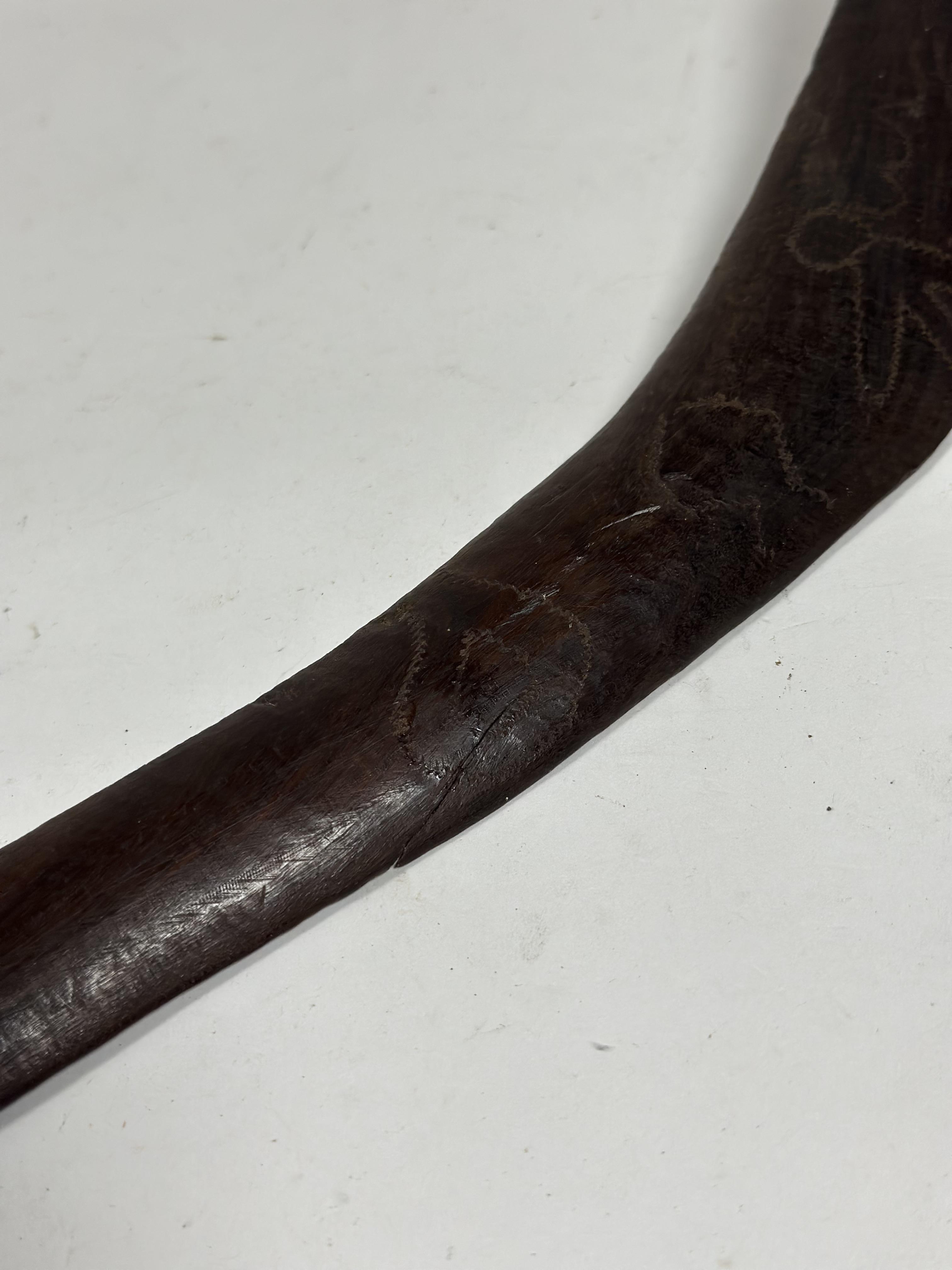 An Aboriginal boomerang, decorated with zoomorphic and other designs to one side, the reverse with - Image 2 of 3