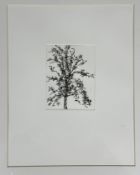 Louise Catrell, Mins, engraving, 3/20, Northern Prints Studio, glazed mounted ebonised frame,