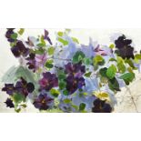 Jennifer S Tuffs, Clematis, pen and ink with watercolour on paper, dated August 16th 1983, glazed