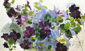 Jennifer S Tuffs, Clematis, pen and ink with watercolour on paper, dated August 16th 1983, glazed