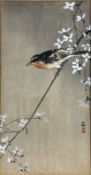 A Japanese watercolour of a Finch on a Flowering Branch, signed with seal mark bottom right,