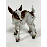 An Italian ceramic model of a kid goat, decorated with polychrome enamels, (h 11.5cm x 9cm) signed