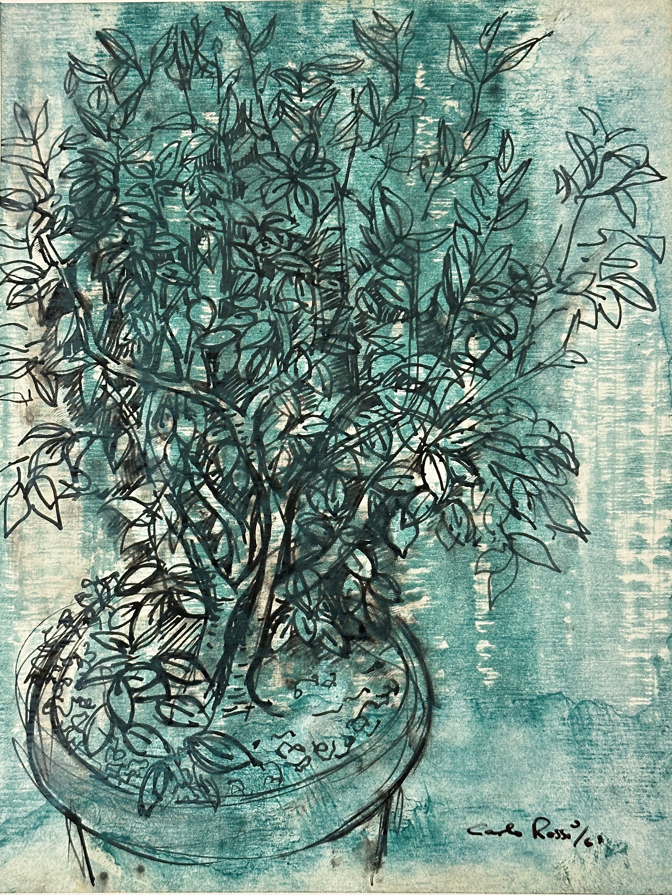 Carlo Rossi RSW RGI, (Scottish, 1921-2010) Shrub in Pot, pen and ink drawing highlighted with