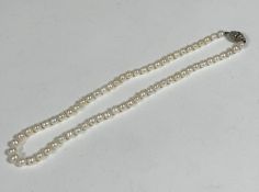 A cultured strand of pearls with magnetic clasp fastening, (L 22cm)