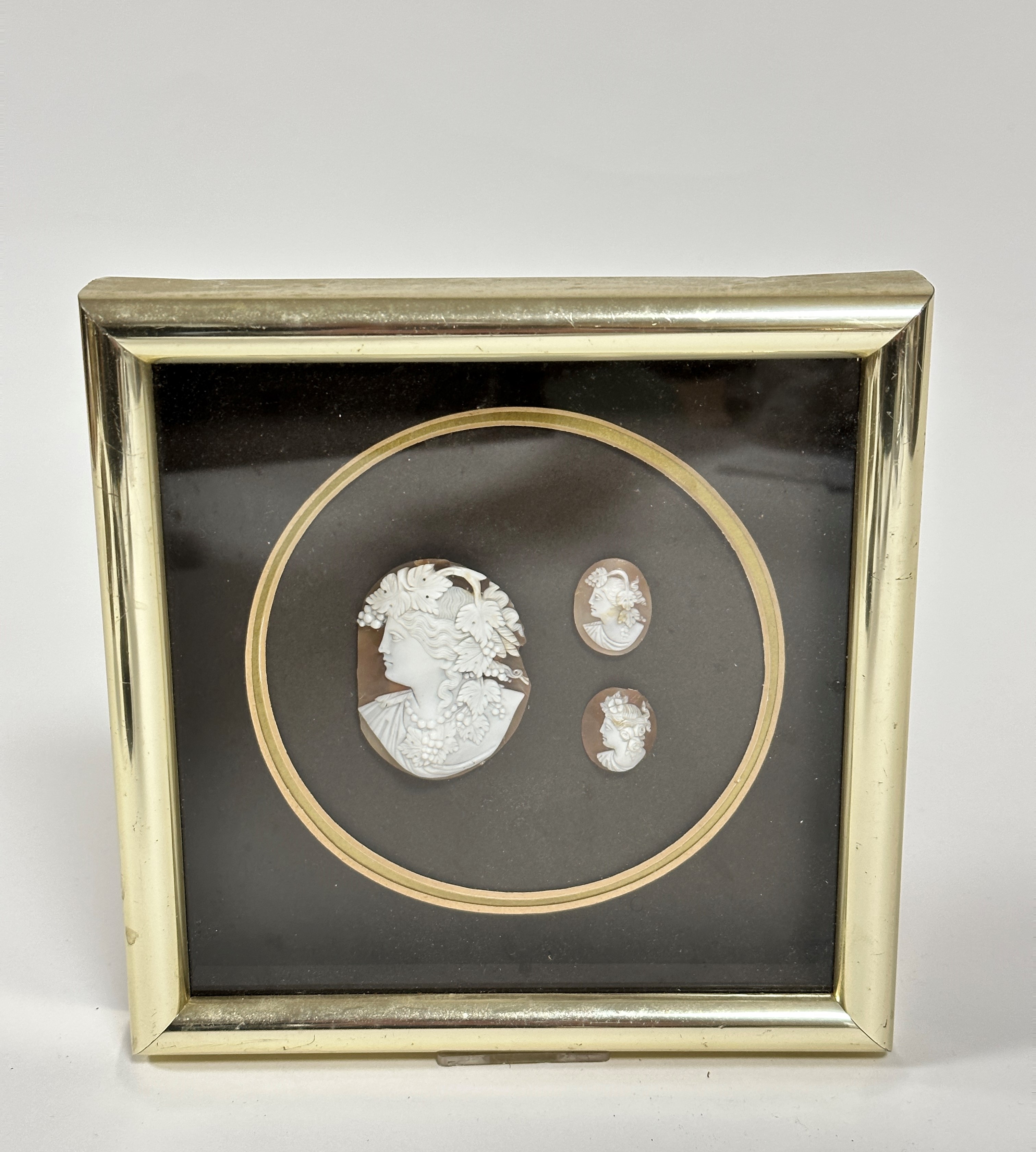 A gilt box frame containing a group of three 19thc shell carved cameos depicting portraits of