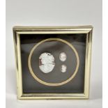 A gilt box frame containing a group of three 19thc shell carved cameos depicting portraits of