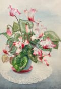 Irene Ann Rowe, Variegated Cyclamen, watercolour, signed bottom right, paper label verso, silver